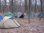 IMG_3740.jpg