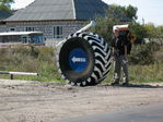 Имя файла=img_1463_169.jpg
Размер файла=171КБ
Размеры=800x600
Дата=Окт 06, 2007 img_1463_169.jpg